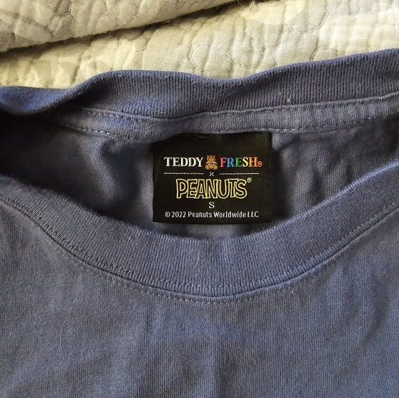 Teddy Fresh x Peanuts Charlie Brown t-shirt, unisex S, great condition - Picture 2 of 2